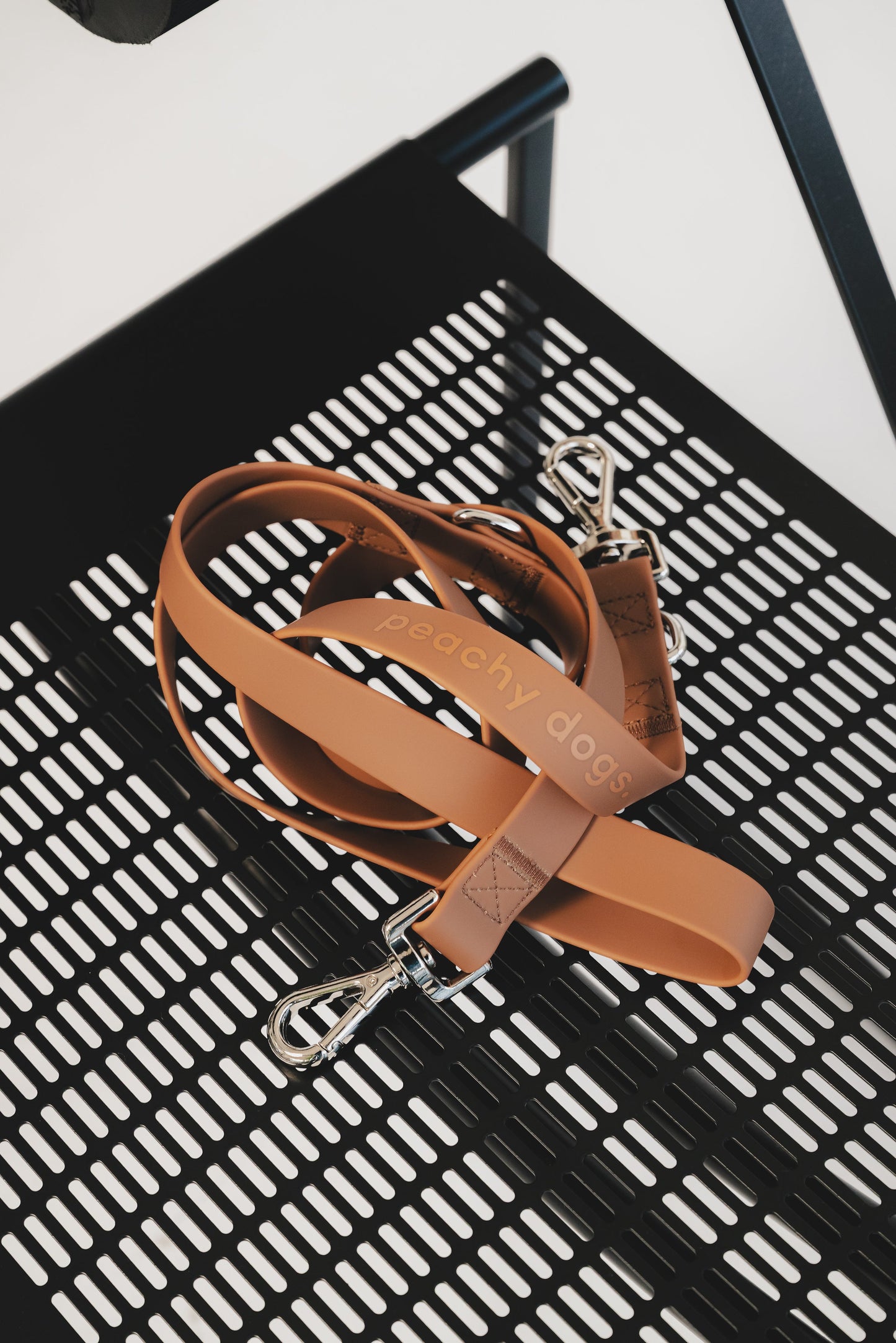 Ensemble Dulce – Harnais, Collier et Laisse pour Chien