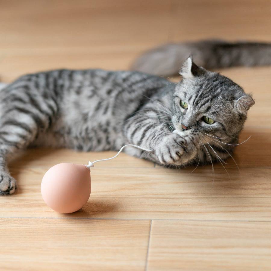 Balle Électrique Interactive – Jouet Stimulant pour Chats - Montoutous