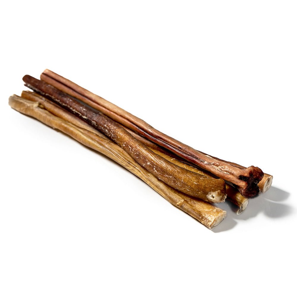 Bâtonnet de Bœuf Jumbo 12” pour Chien – Friandise Naturelle Longue Durée
