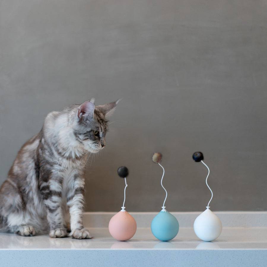 Balle Électrique Interactive – Jouet Stimulant pour Chats - Montoutous