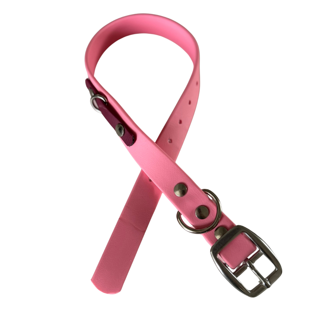 Promo Spéciale sur le Collier standard 1" en Biothane pour Chien – Fait Main au Québec - Montoutous