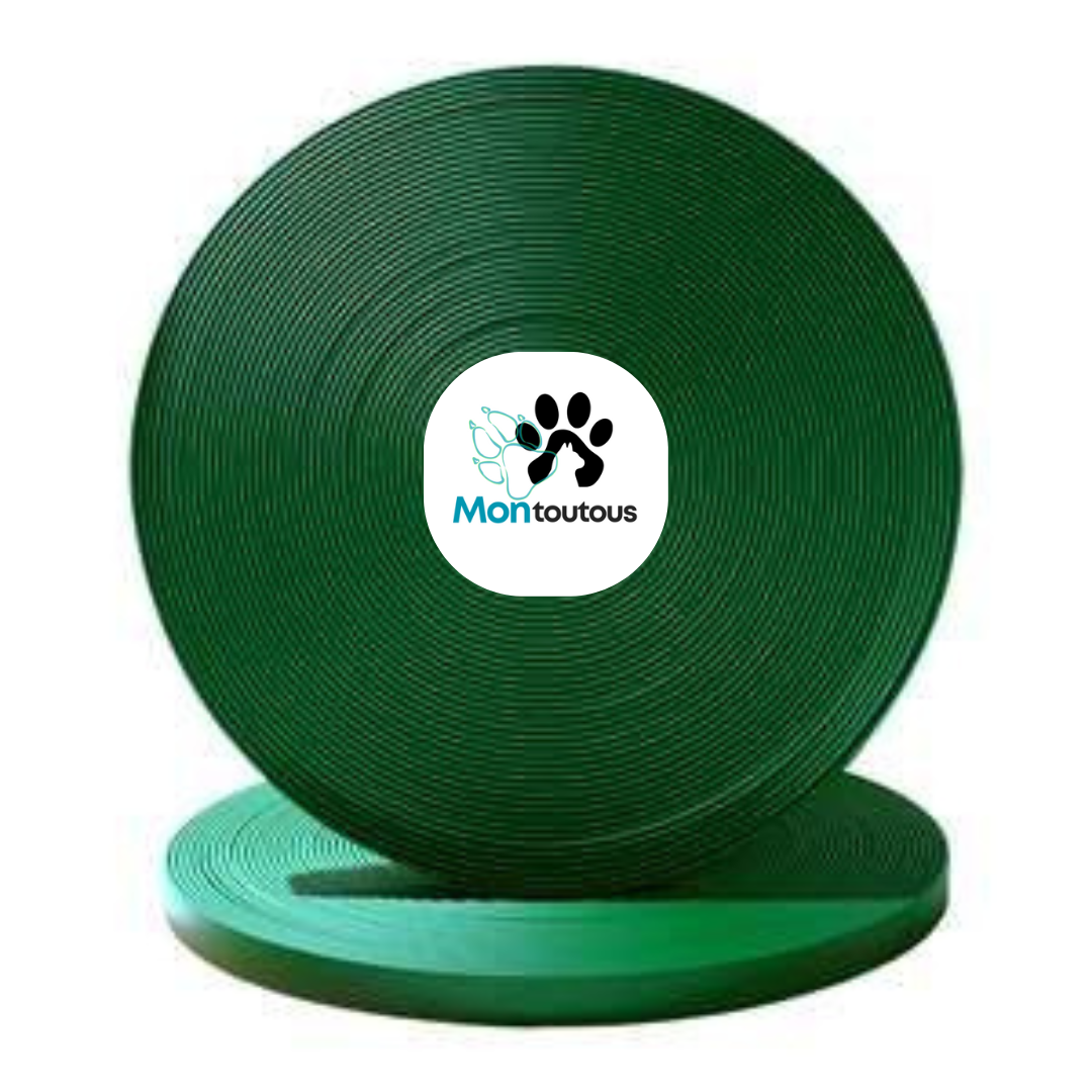 Collier 1’’ en Biothane pour chien – Attache noir- Fait Main au Québec - Montoutous