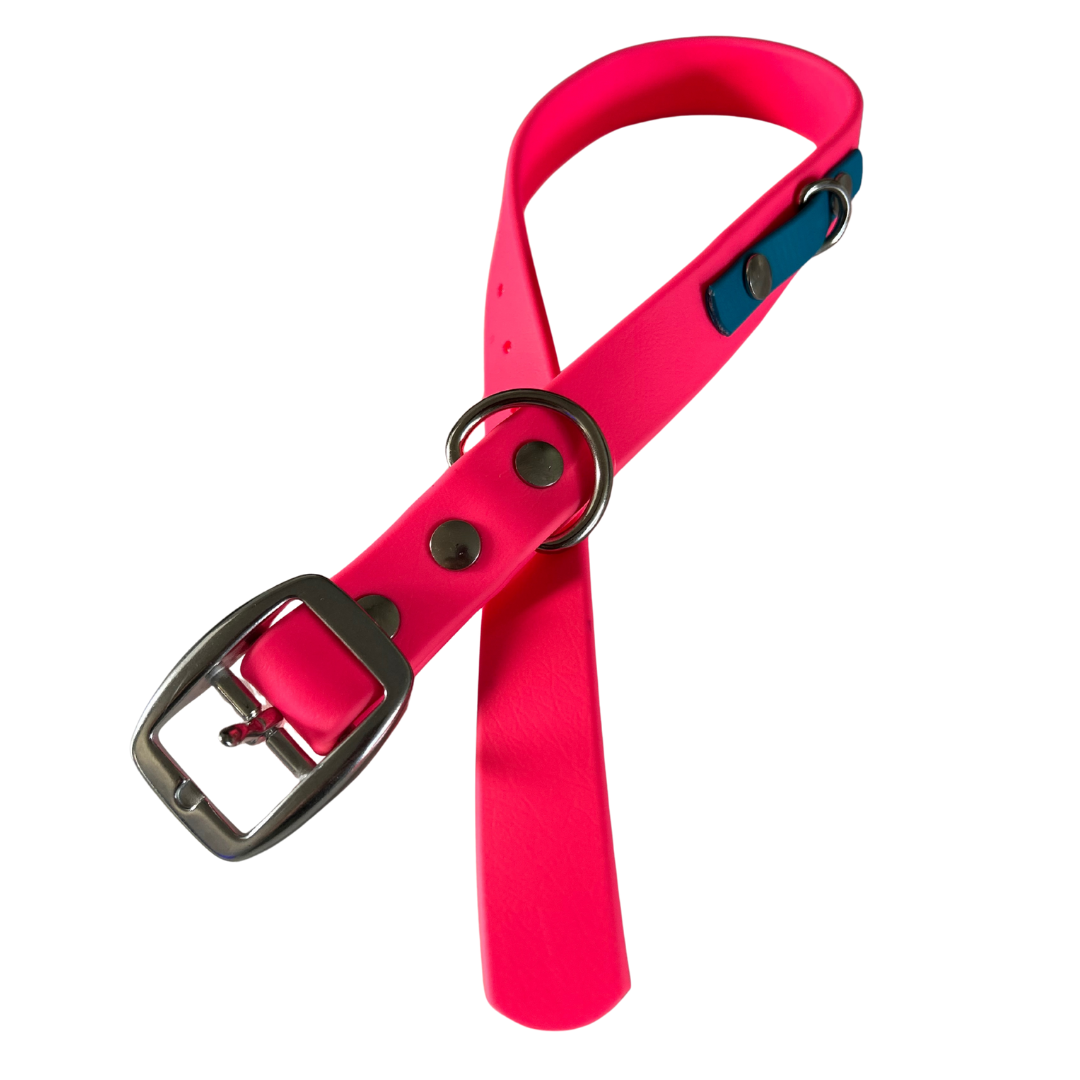 Promo Spéciale sur le Collier standard 1" en Biothane pour Chien – Fait Main au Québec - Montoutous