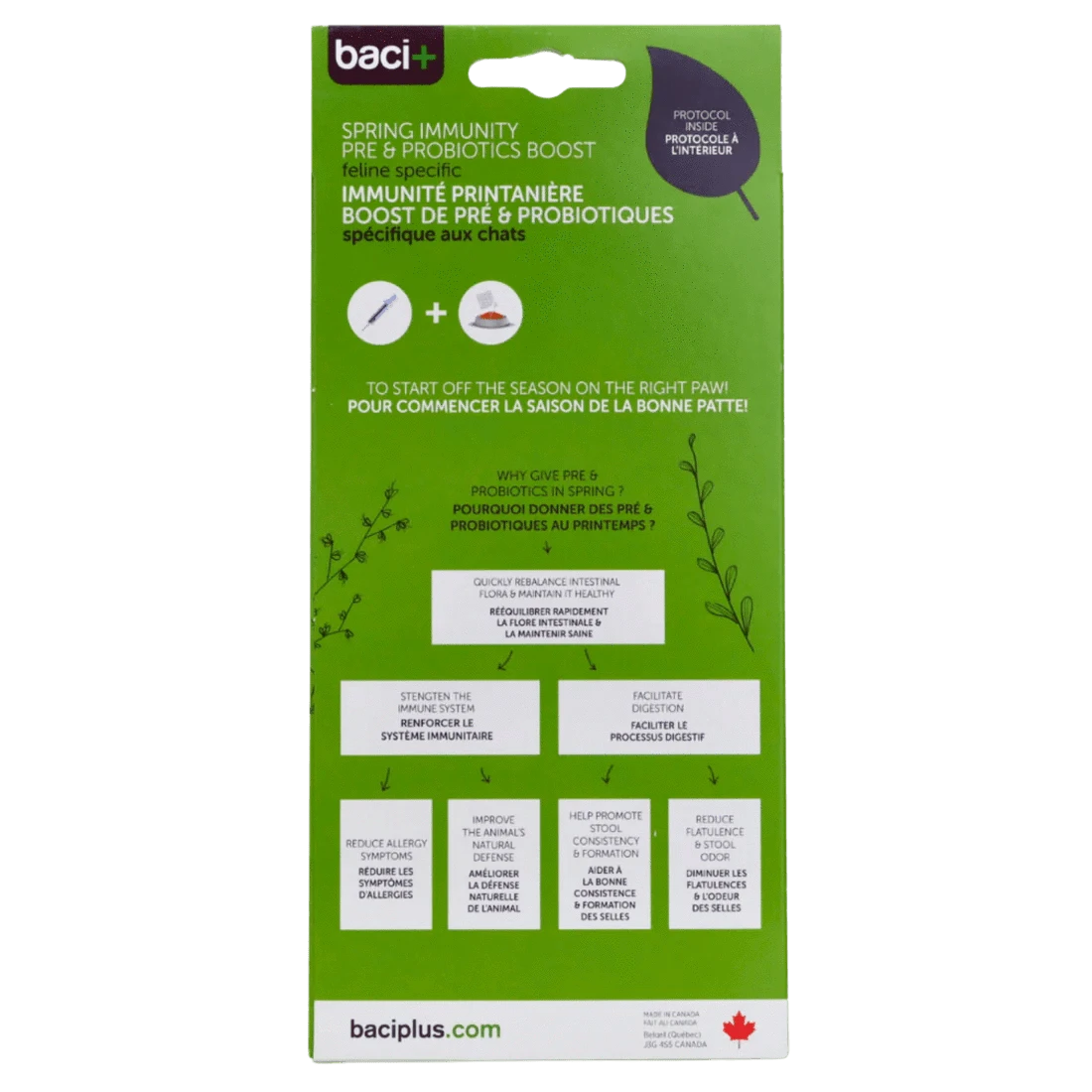 Trousse Immunité Printanière pour Chats – Pré & Probiotiques | Digestion & Défenses - Montoutous