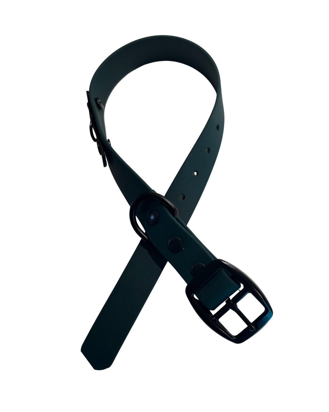 Collier 3/4’’ en Biothane pour chien - Fait Main au Québec - Montoutous