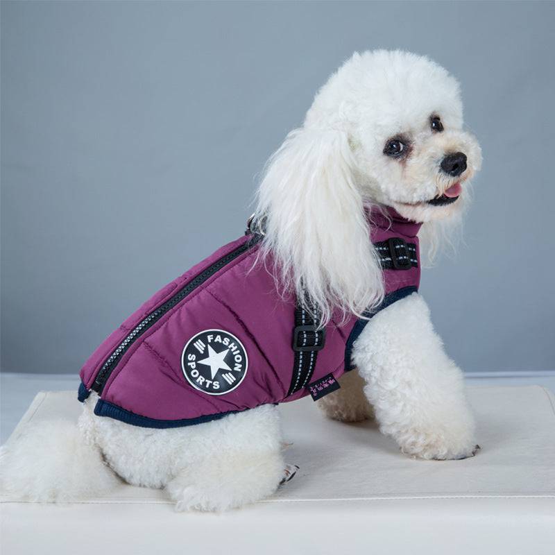 Manteau Décontracté en Polyester – Confort & Style pour Animaux - Montoutous