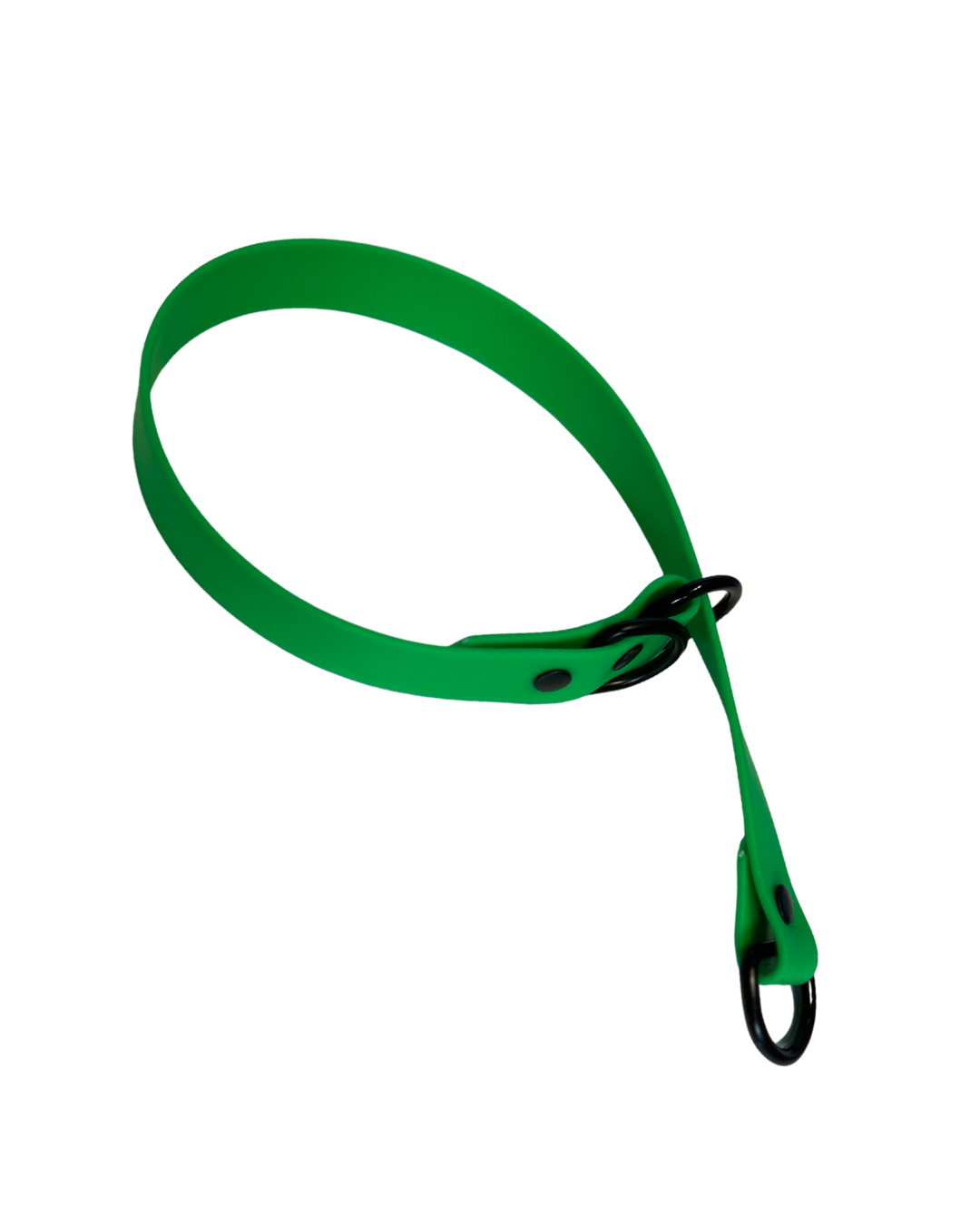 Collier Slip 3/4 en Biothane pour chien – Fait Main au Québec - Montoutous