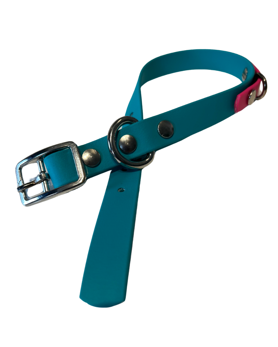 Collier 3/4’’ en Biothane pour chien - Fait Main au Québec - Montoutous
