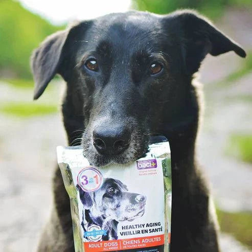 3en1 – Soutien Articulaire, Digestif & Cardiaque pour Chiens Seniors - Montoutous