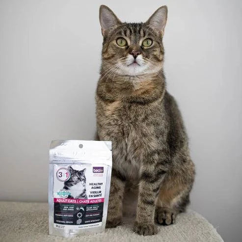 3en1 – Soutien Articulaire, Digestif & Cardiaque pour Chats Seniors - Montoutous
