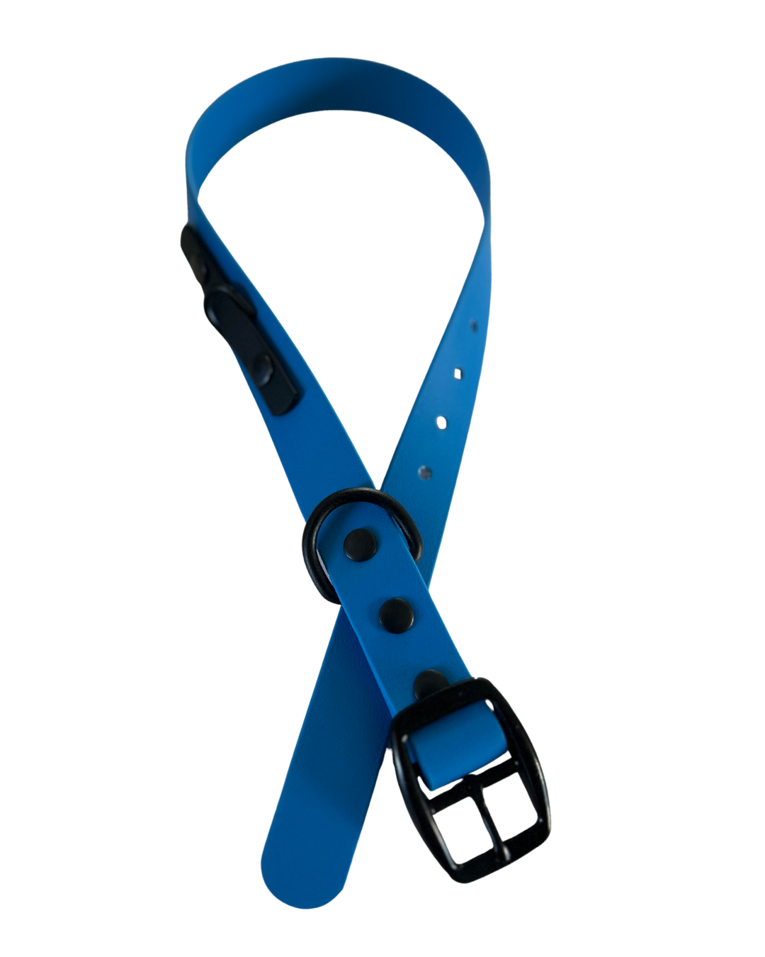 Collier 3/4’’ en Biothane pour chien - Fait Main au Québec - Montoutous