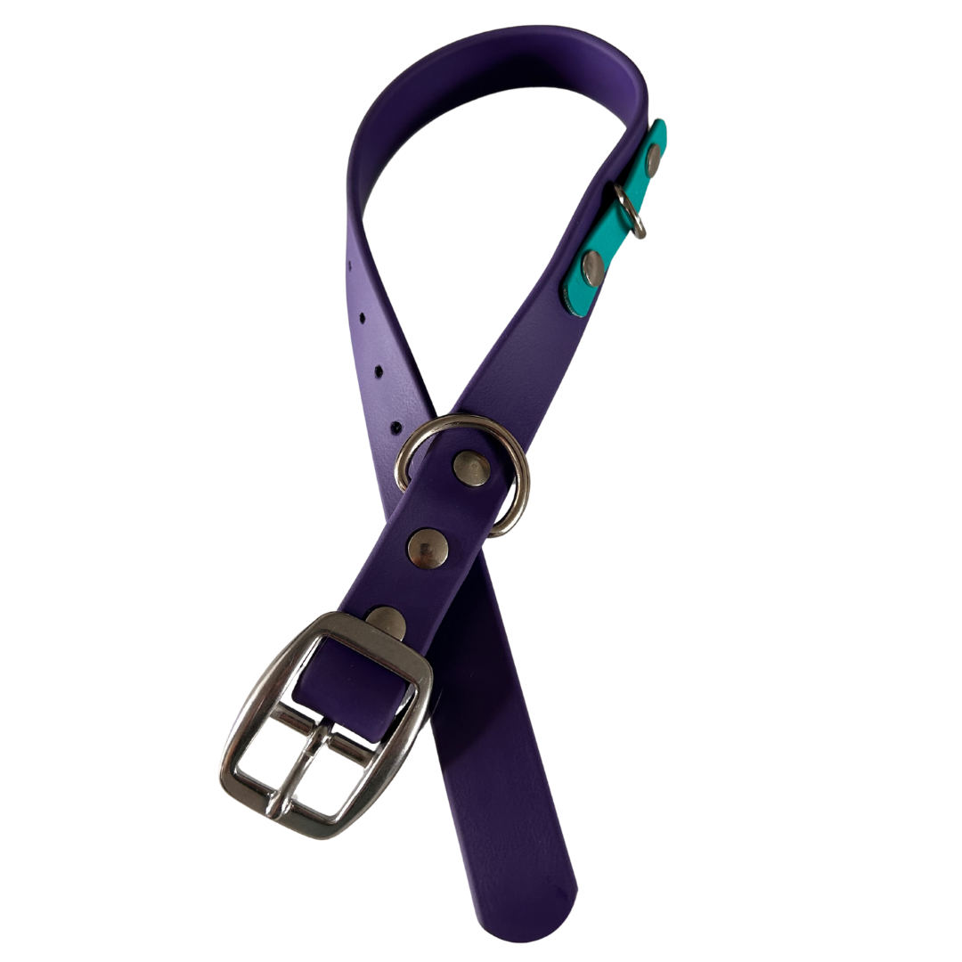Promo Spéciale sur le Collier standard 1" en Biothane pour Chien – Fait Main au Québec - Montoutous