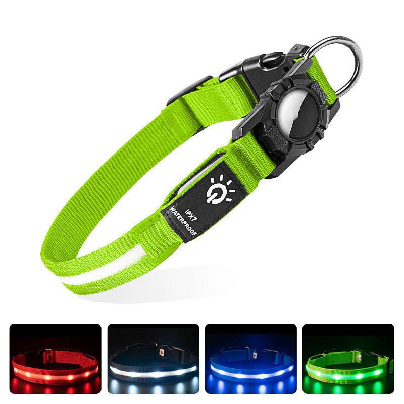 Collier Lumineux en Nylon – Sécurité & Confort pour Animaux - Montoutous