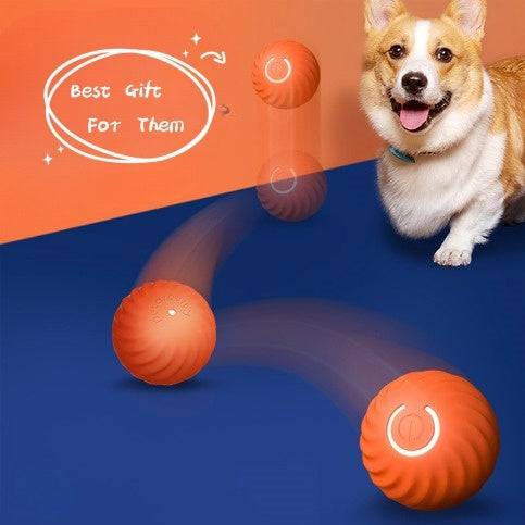 Boule Interactive pour Chien – Jouet Résistant & Stimulant avec Charge USB - Montoutous