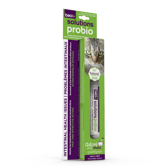 Probio+ Vivo – Pâte Pré & Probiotiques pour Chats & Chatons - Montoutous