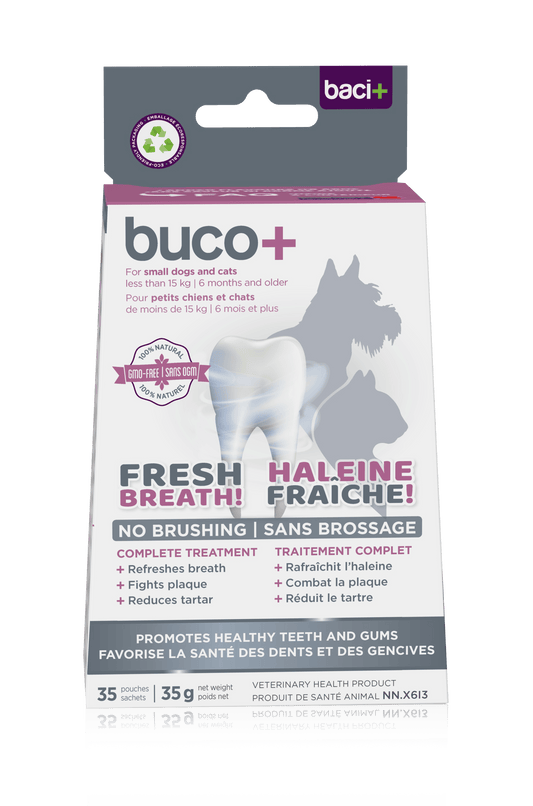 Buco+ 100mg – Soins Dentaires Naturels pour Chats et Chiens -15KG - Montoutous