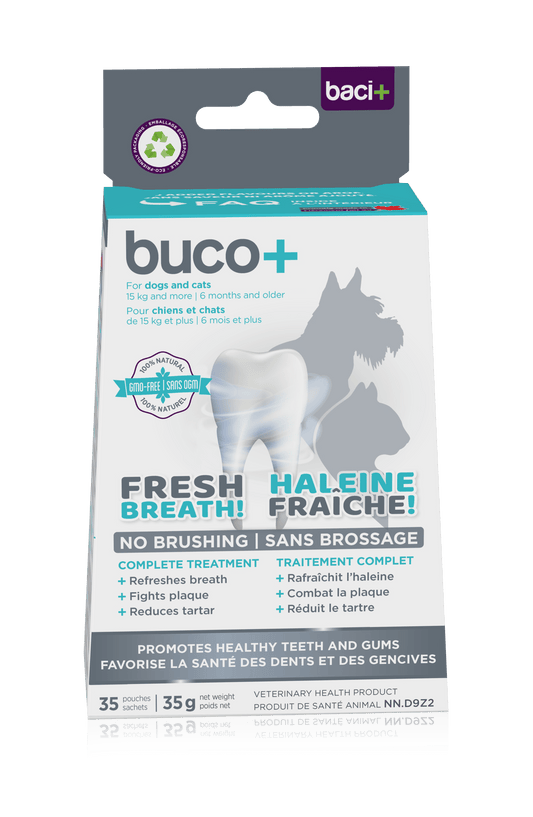 Buco+ 150mg – Soins Dentaires Naturels pour Chiens et Chats +15KG - Montoutous