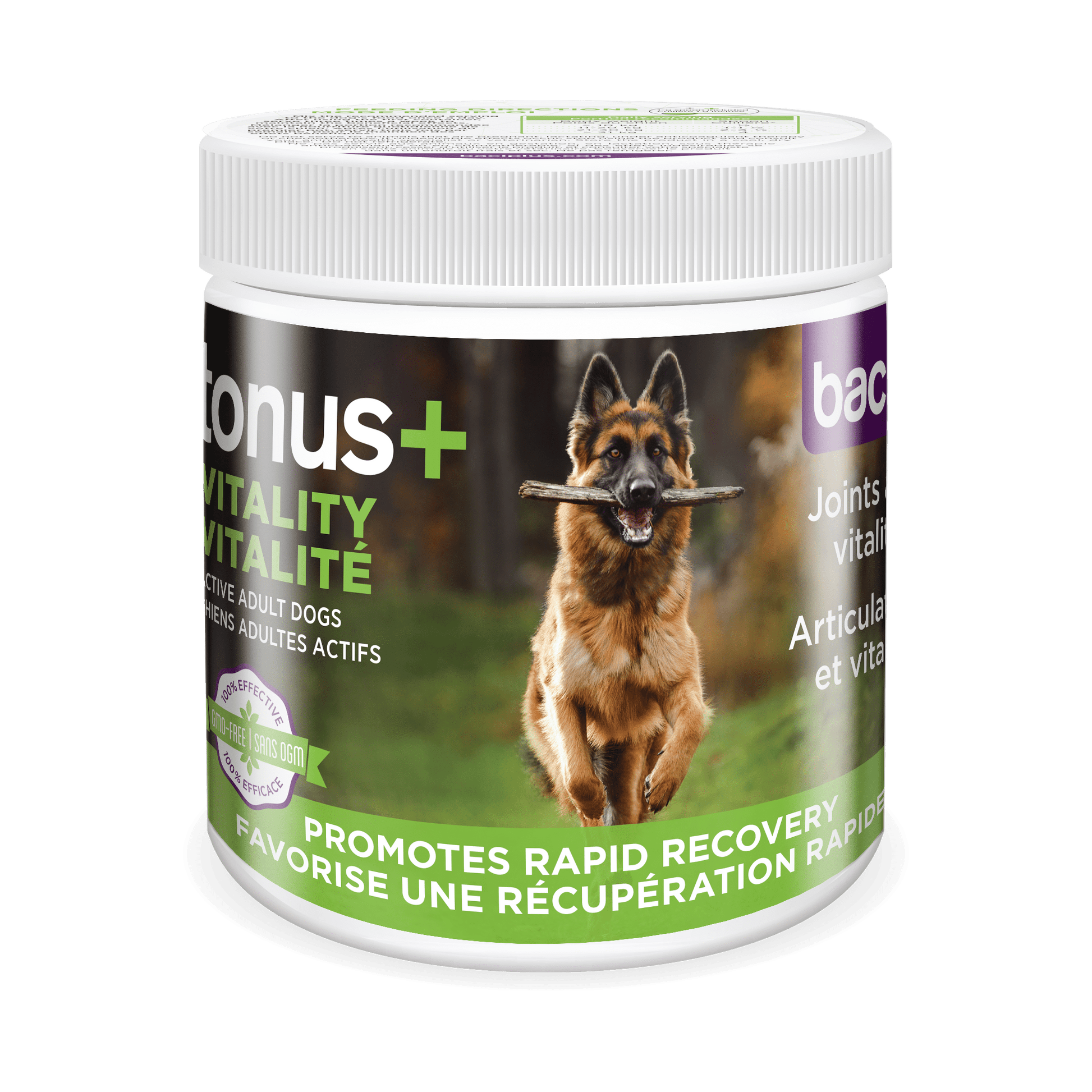 Trousse Vitalité & Soins Complets pour Chiens Adultes +15KG – Articulations, Digestion et Hygiène - Montoutous
