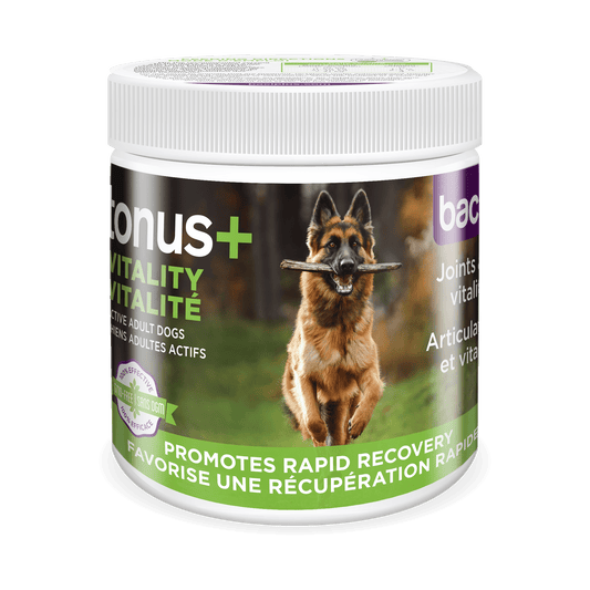 Tonus+ – Soutien Articulaire & Vitalité pour Chiens Actifs - Montoutous