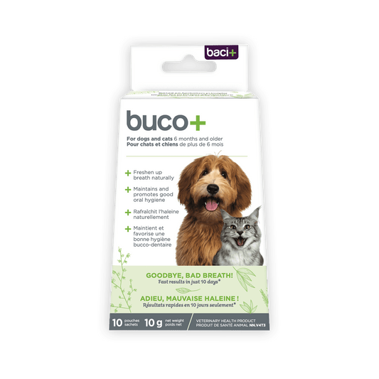 Buco+ 10 Jours – Traitement Express Mauvaise Haleine pour Chiens & Chats - Montoutous