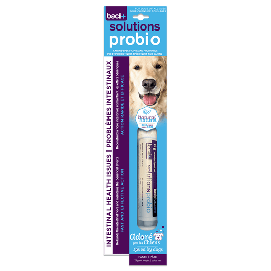Probio+ Vivo – Pâte Pré & Probiotiques pour Chiens & Chiots - Montoutous
