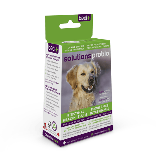 Solutions Probio – Pré & Probiotiques Naturels pour Chiens & Chiots - Montoutous