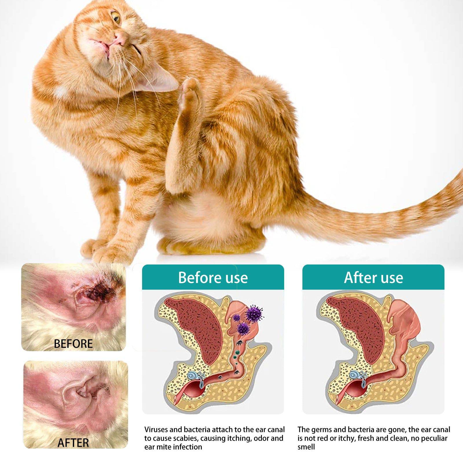 Lingettes Nettoyantes Oreilles – Hygiène & Soin Anti-Acariens pour Chiens & Chats - Montoutous