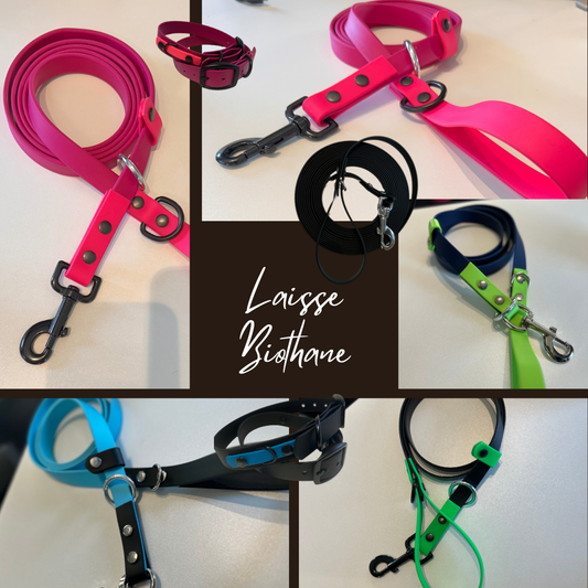 Longe / laisse - 3/4 - (50 pied) pour Chien en Biothane – Fait Main au Québec - Montoutous