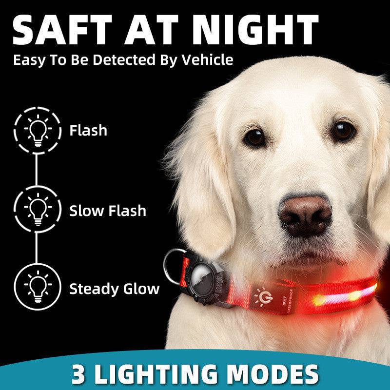 Collier Lumineux en Nylon – Sécurité & Confort pour Animaux - Montoutous