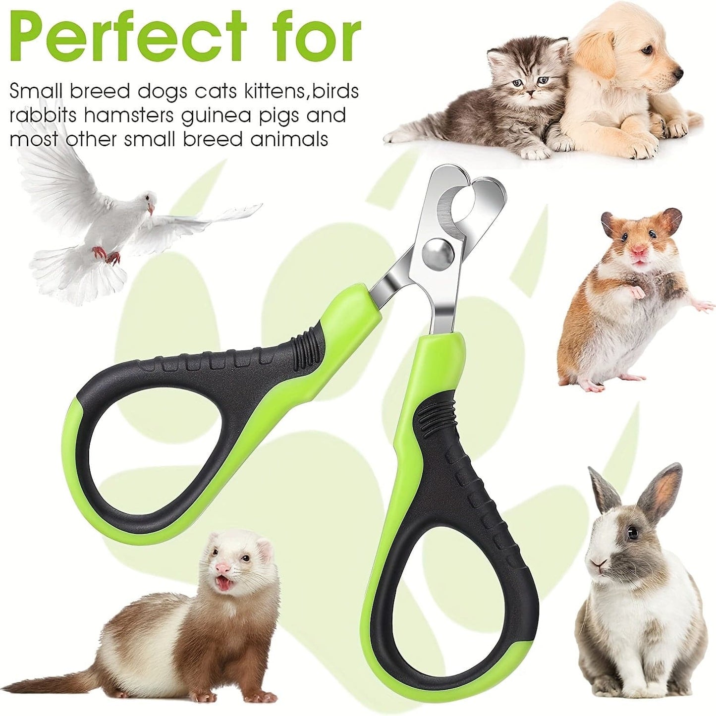 Coupe-Ongles Précis pour Petits Animaux – Sécurité & Confort - Montoutous