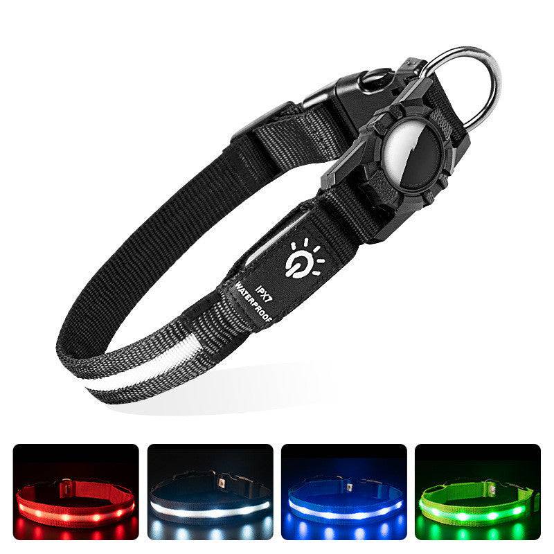 Collier Lumineux en Nylon – Sécurité & Confort pour Animaux - Montoutous