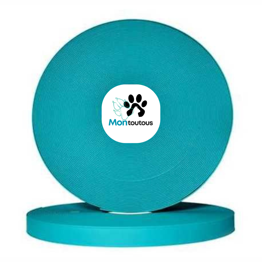 Collier 1’’ en Biothane pour chien – Attache noir- Fait Main au Québec - Montoutous