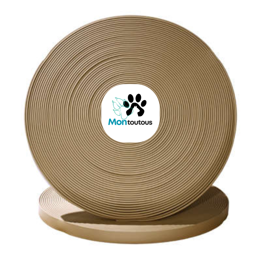 Collier 1’’ en Biothane pour chien- Fait Main au Québec
