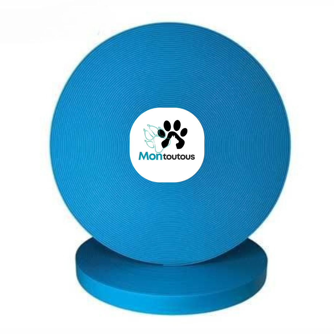 Collier 1’’ en Biothane pour chien – Attache noir- Fait Main au Québec - Montoutous