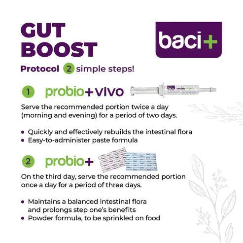 Trousse Boost Intestinal pour Chiens – Pré & Probiotiques | Digestion & Immunité - Montoutous