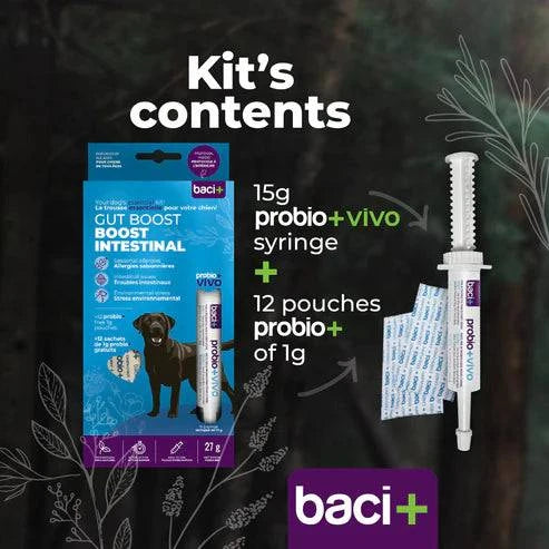 Trousse Boost Intestinal pour Chiens – Pré & Probiotiques | Digestion & Immunité - Montoutous