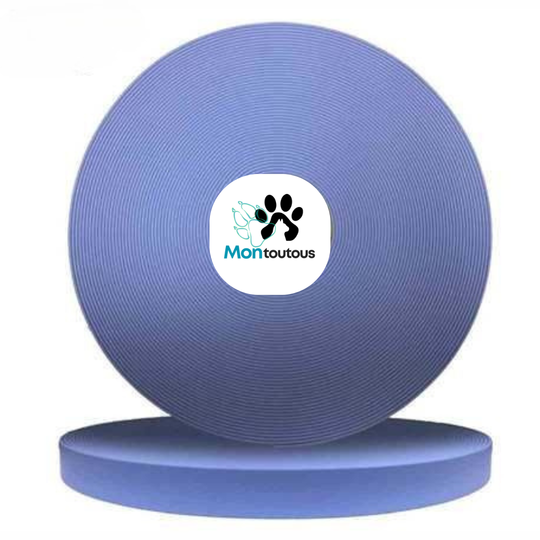 Collier étrangleur 3/4 en Biothane pour chien – Attache "NICKEL"- Fait Main au Québec - Montoutous