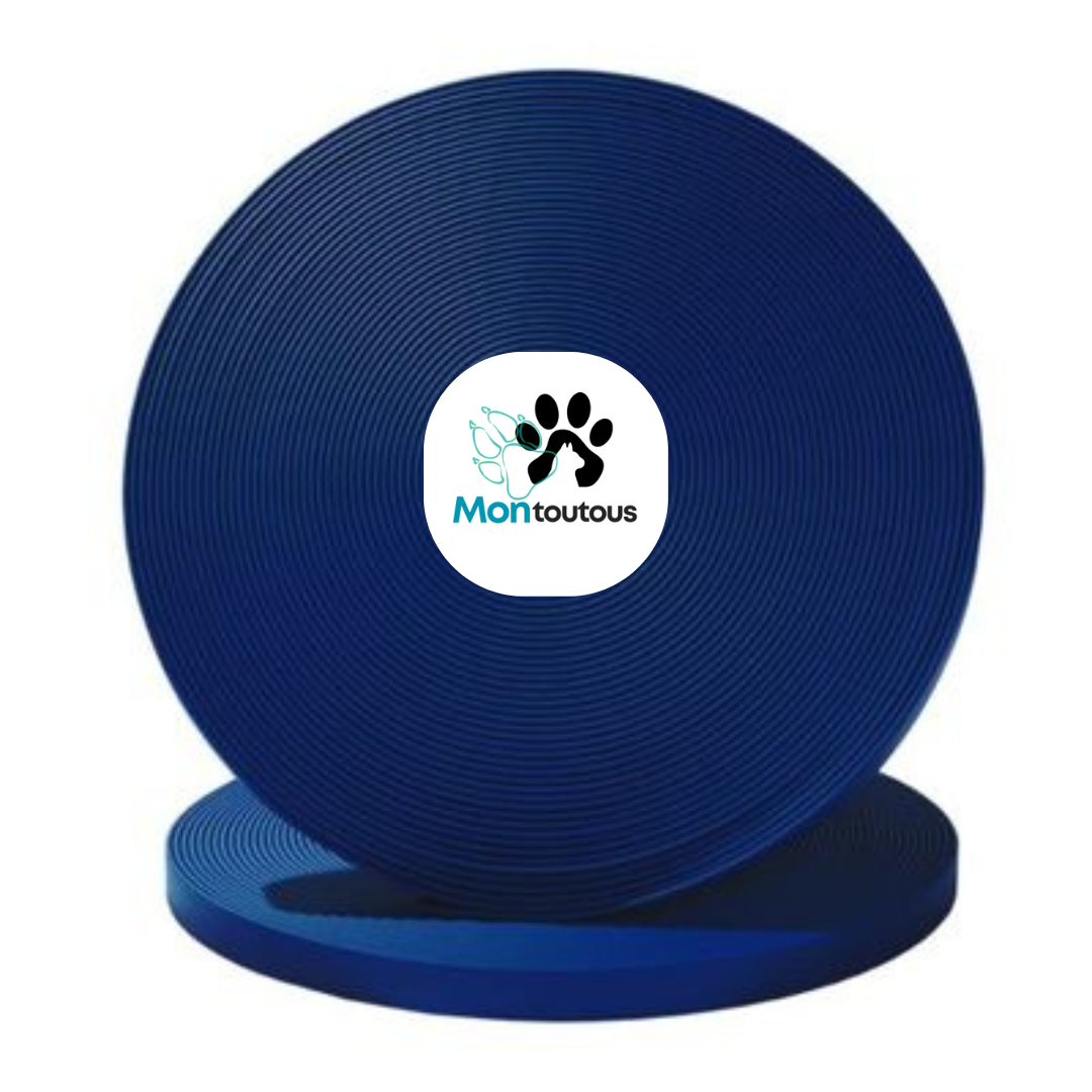Collier étrangleur 3/4 en Biothane pour chien – Attache "NICKEL"- Fait Main au Québec - Montoutous