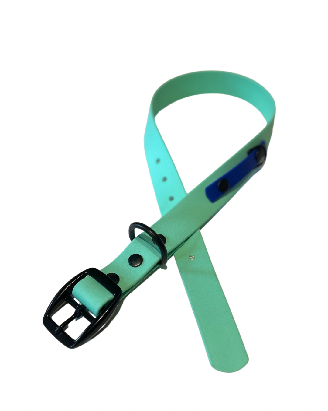 Collier 3/4’’ en Biothane pour chien - Fait Main au Québec - Montoutous