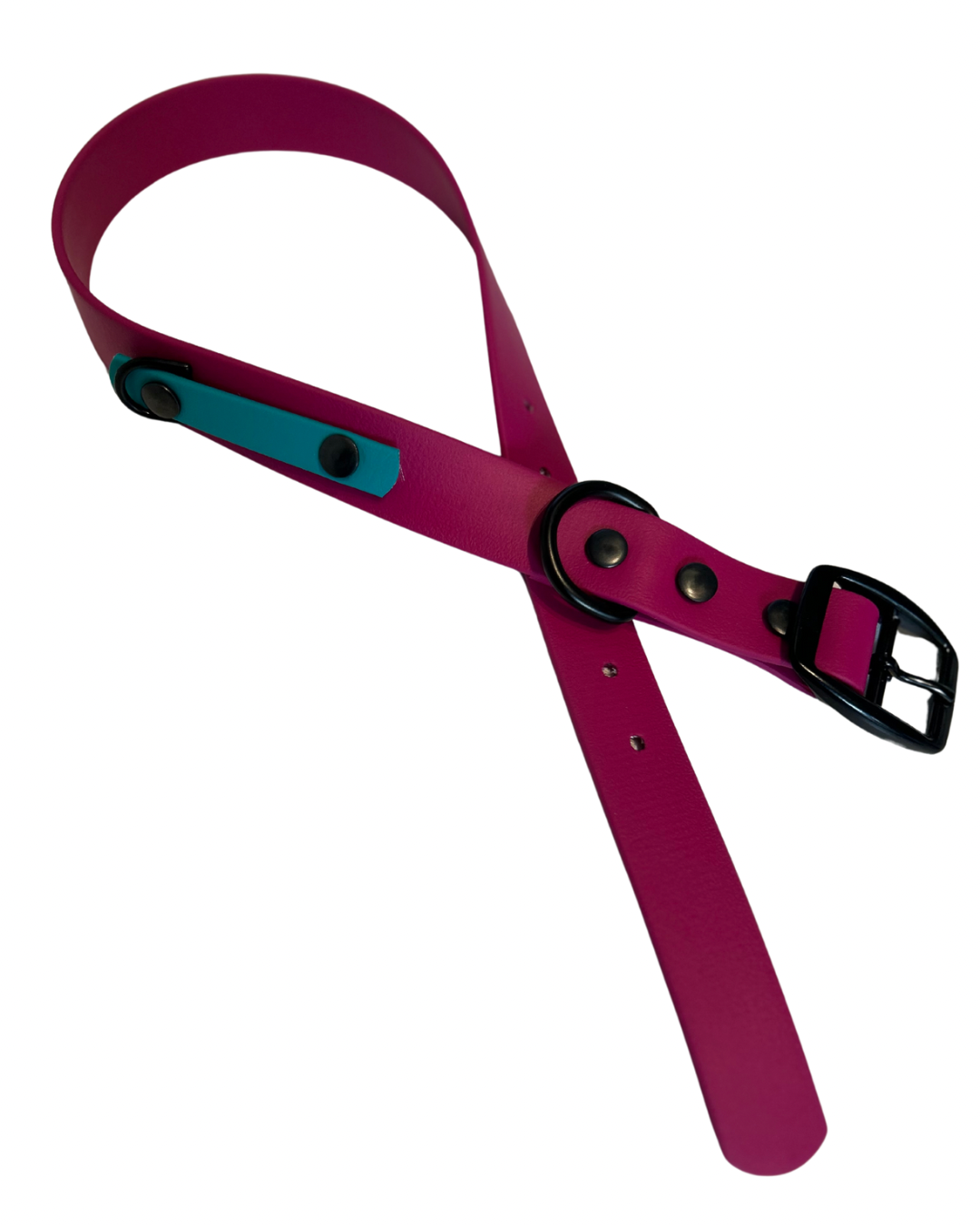 Collier 3/4’’ en Biothane pour chien - Fait Main au Québec - Montoutous