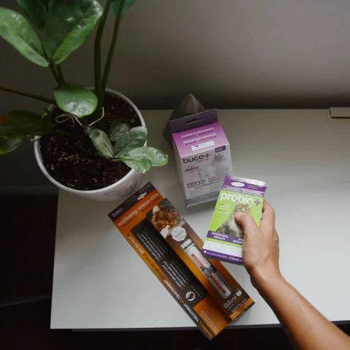 Trousse Santé pour Chats Adultes – Digestion, Boules de Poils & Hygiène Dentaire - Montoutous