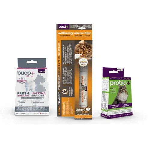 Trousse Santé pour Chats Adultes – Digestion, Boules de Poils & Hygiène Dentaire - Montoutous