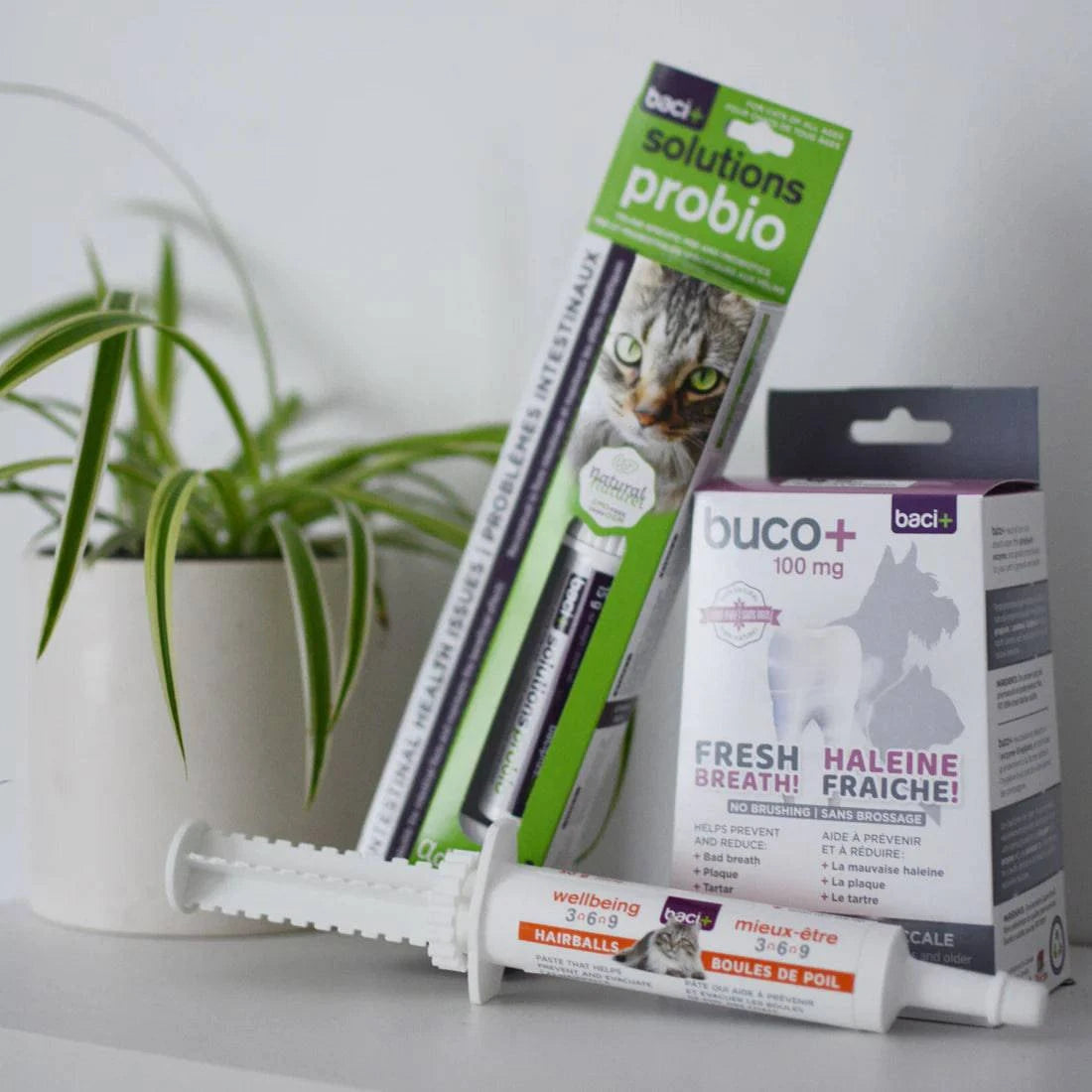 Trousse Santé Globale pour Chatons – Digestion, Boules de Poils & Hygiène Buccodentaire - Montoutous