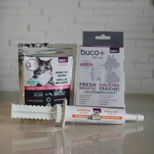 Trousse Soins Complets pour Chats Âgés – Peau, Articulations & Boules de Poils - Montoutous