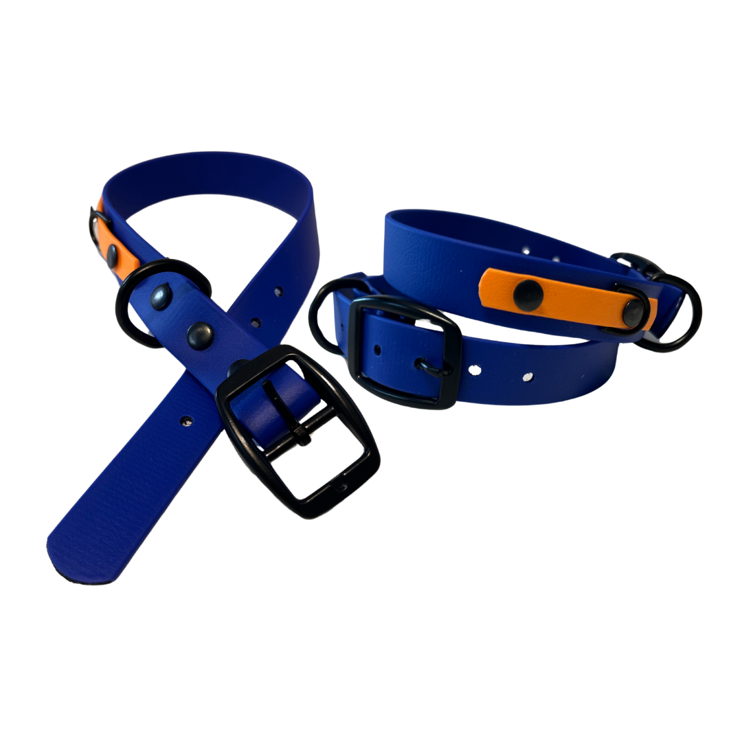 Promo Collier 1’’ en Biothane – Élégance, Résistance et Confort pour Chien