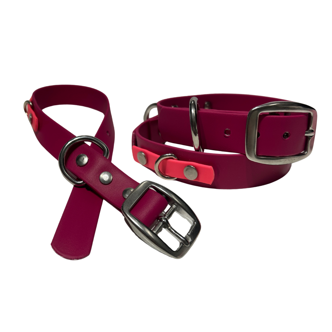 Promo Collier 1’’ en Biothane – Élégance, Résistance et Confort pour Chien