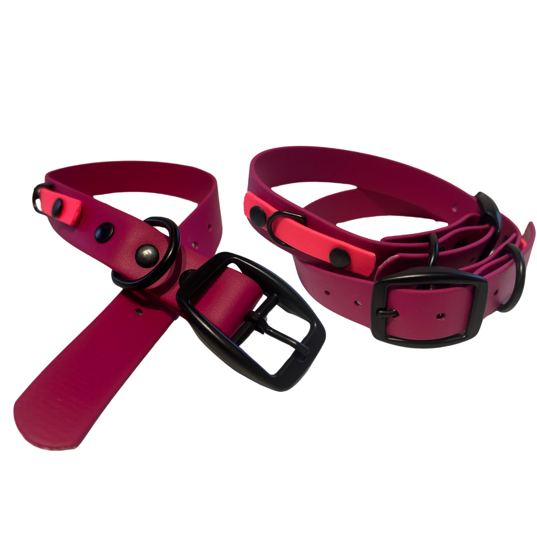 Promo Collier 1’’ en Biothane – Élégance, Résistance et Confort pour Chien