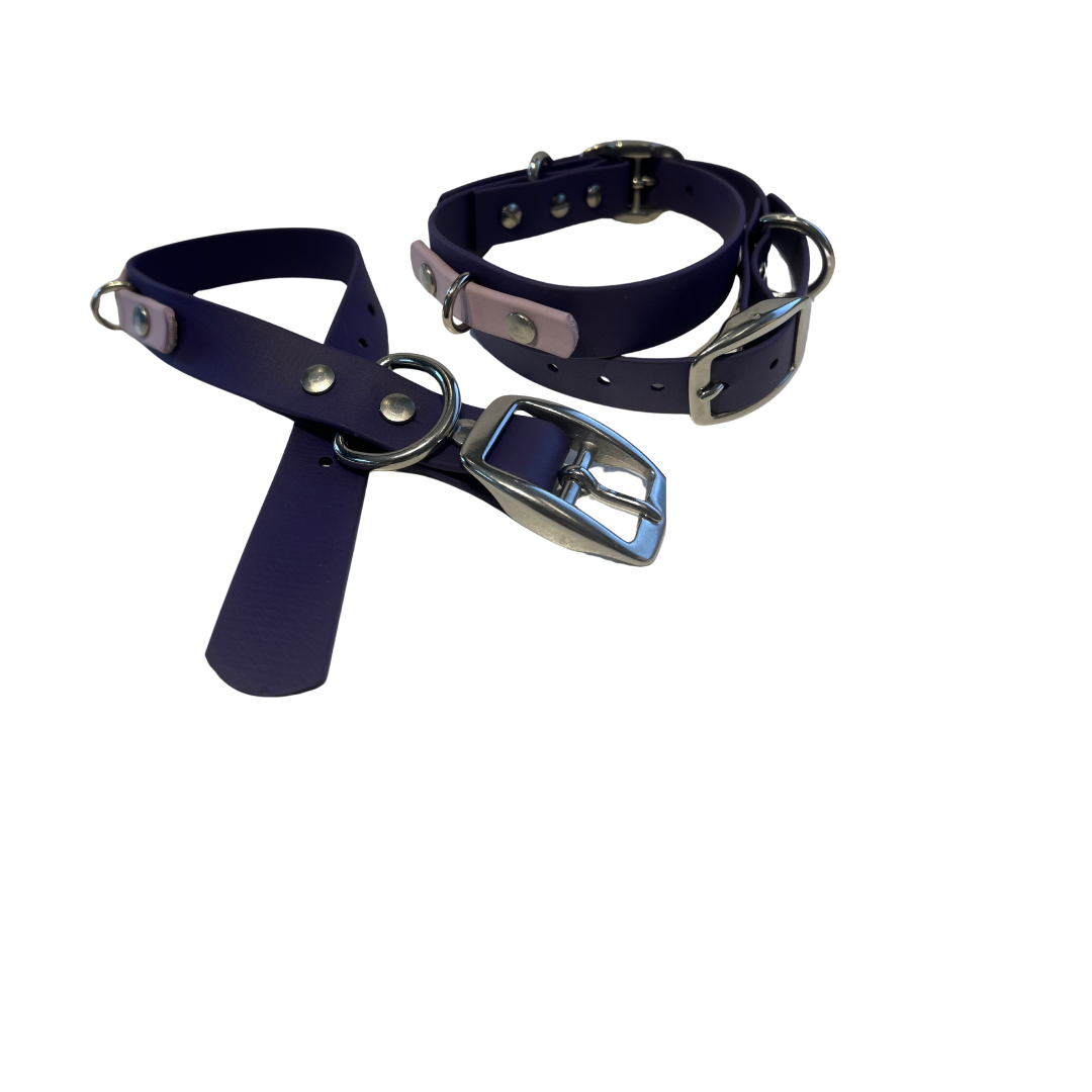 Promo Collier 1’’ en Biothane – Élégance, Résistance et Confort pour Chien