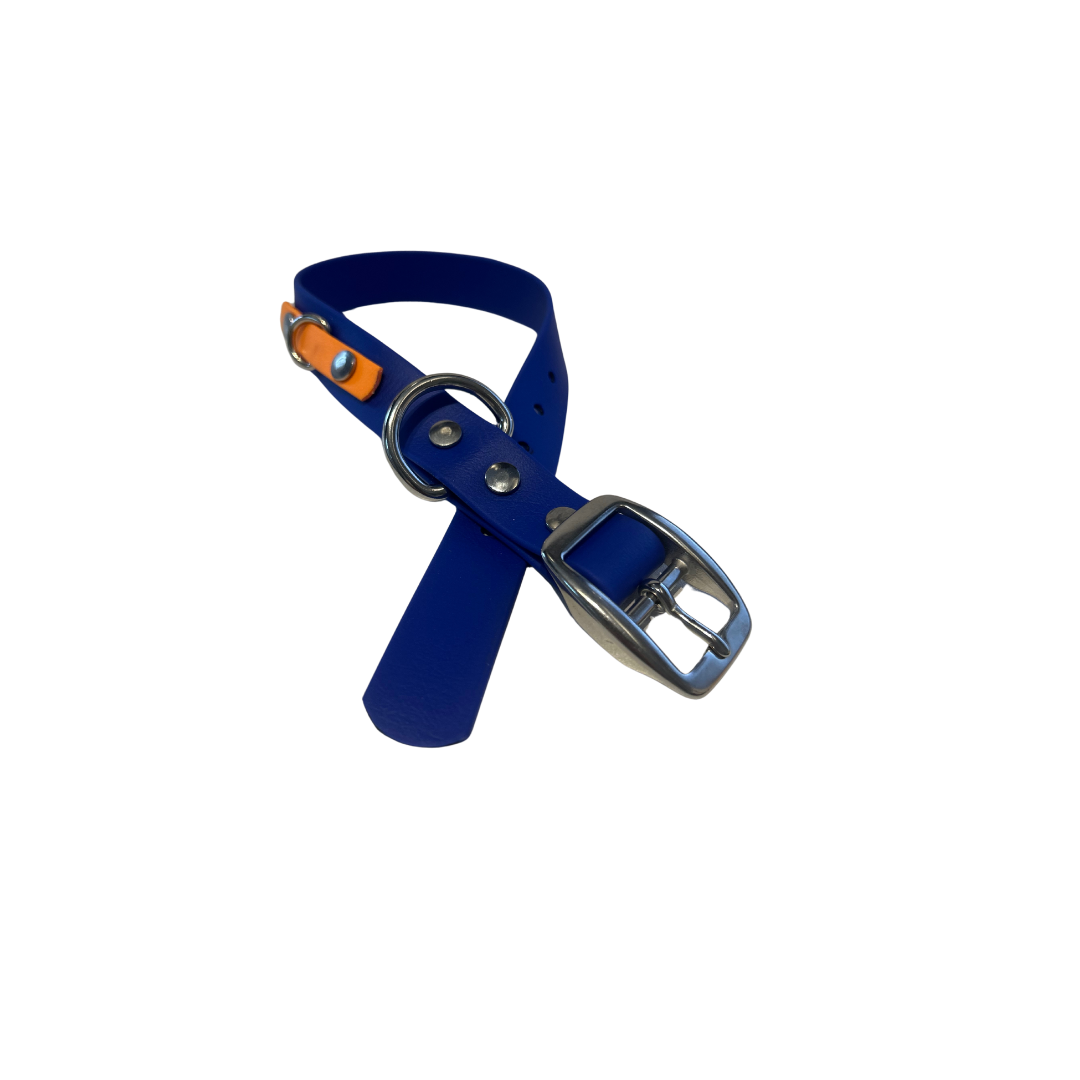 Promo Collier 1’’ en Biothane – Élégance, Résistance et Confort pour Chien