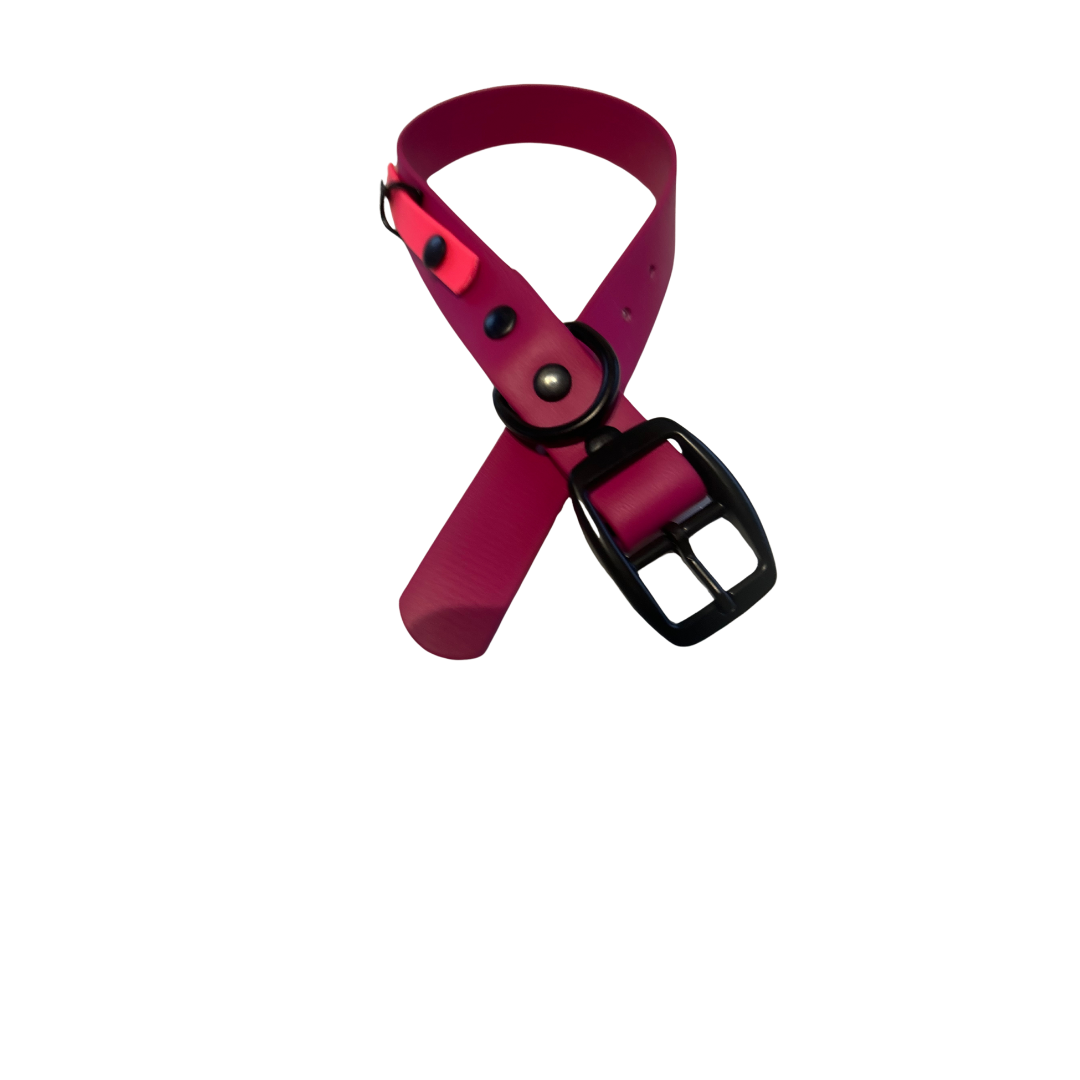 Promo Collier 1’’ en Biothane – Élégance, Résistance et Confort pour Chien
